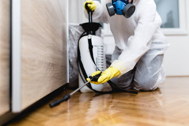 Best Pest Removal Services  in Elton, LA